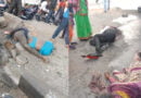 रतलाम जिले में ट्रले ने सड़क किनारे बैठे लोगों को रौंदा, छह की मौत, सड़क पर बिखरी लाशें